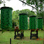 srats56's Spring 2009 Square Foot Veggie garden