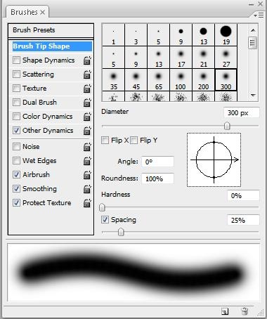 [Brush Tip Shape[4].jpg]