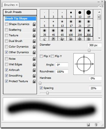 Brush Tip Shape