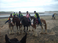 Lake District 2009 Heavyhorses 041.JPG Photo
