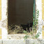 La Guia - Partida dia 03/07/2010 II