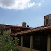 DSCF0307.JPG