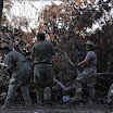 dsc0429b.jpg