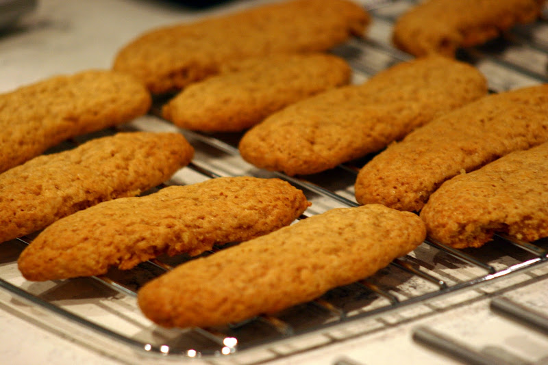 vegan comfort Best Tiramisu EVER (and it’s vegan)!