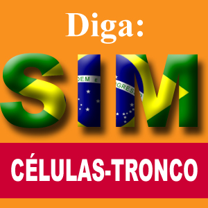 EU DIGO S I M