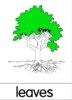 nomenclature