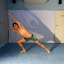 SDC12836.JPG