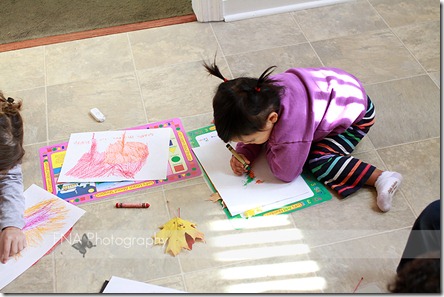 IMG_1356 IMG_1356