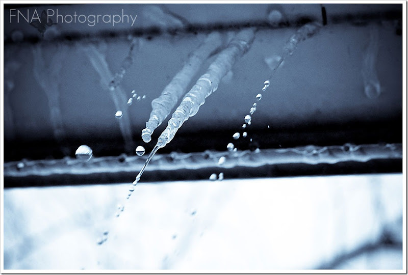 icicledrips-4 icicledrips-4