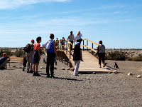 Punta Tombo Photo