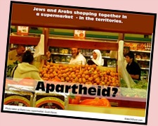 apartheid9