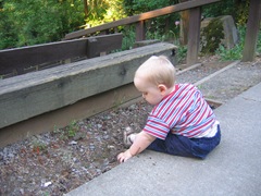IMG_4503 IMG_4503