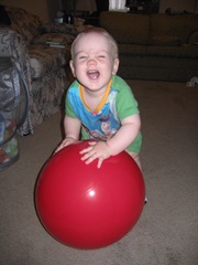 IMG_4561 IMG_4561
