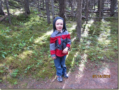 IMG_3921 IMG_3921
