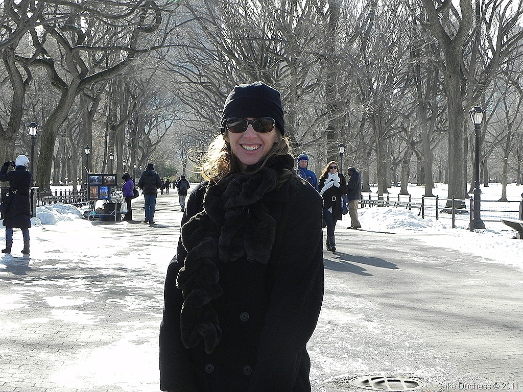[DSCN5006[8].jpg&description=Decadent Brownie Yogurt Pie and a Little New York City')]