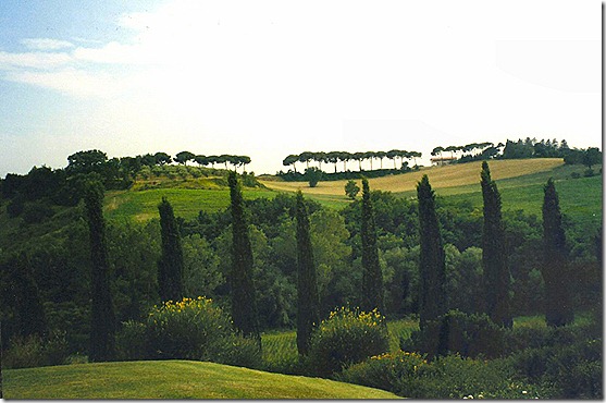 italy1 001