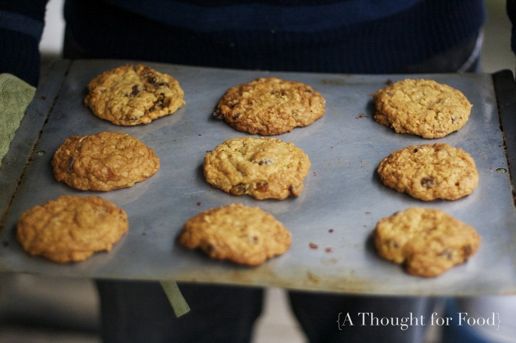 [oatmealcookies1[4].jpg]