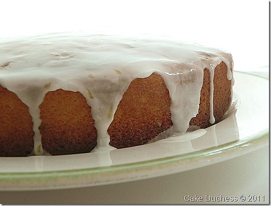 lemonyogurt2 lemonyogurt2