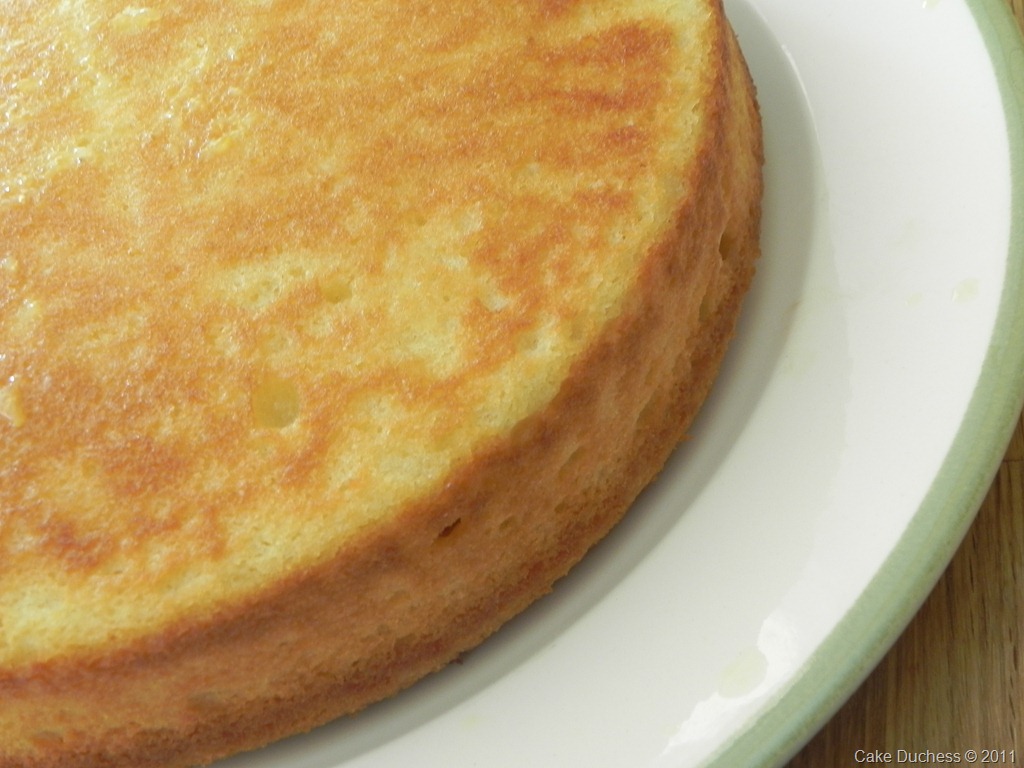 [DSCN7195[12].jpg&description=Gâteau au Citron–French Style Lemon Yogurt Cake')]