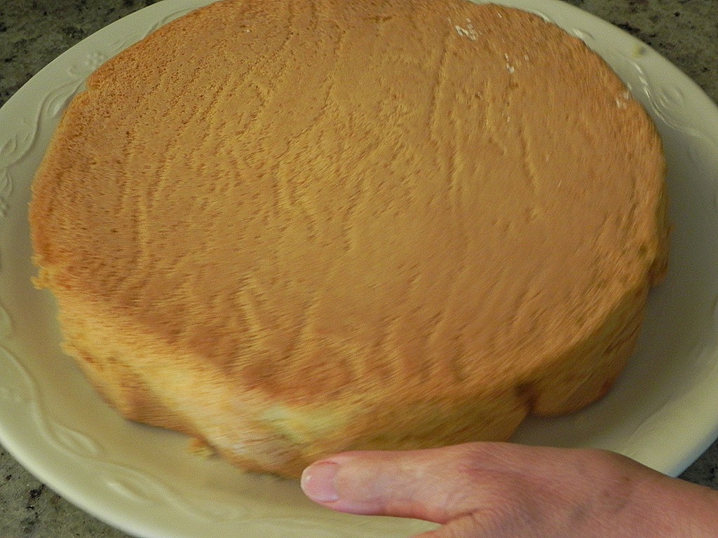 [DSCN7511[5].jpg&description=Torta alla Panna–Italian Birthday Cake!')]