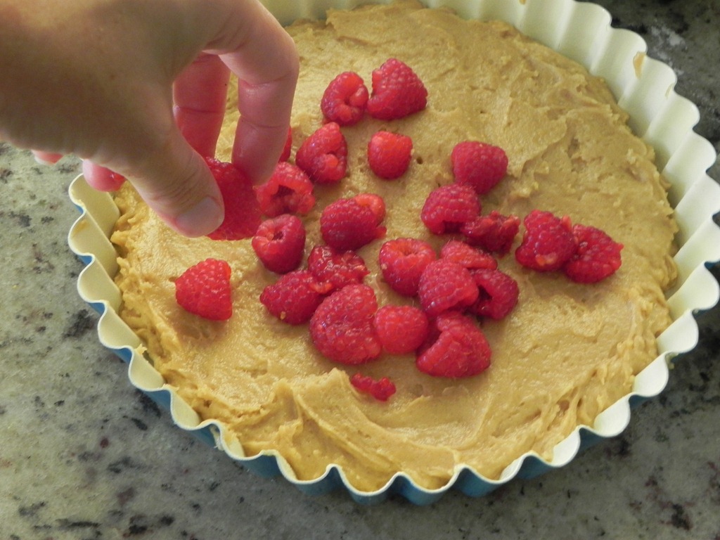 [DSCN7295[4].jpg&description=Raspberry and Lemon Torta')]
