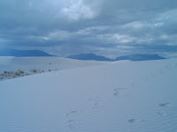 20091114115611.jpg Photo