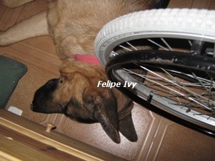 [el.felipe.1[2].jpg]