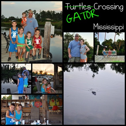 Picnik collage