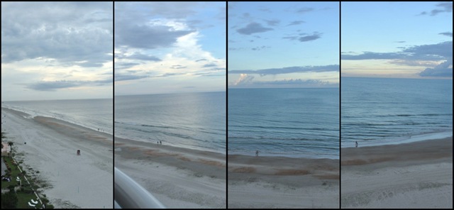 [the view[4].jpg]