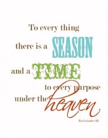 Time_SeasonPreview