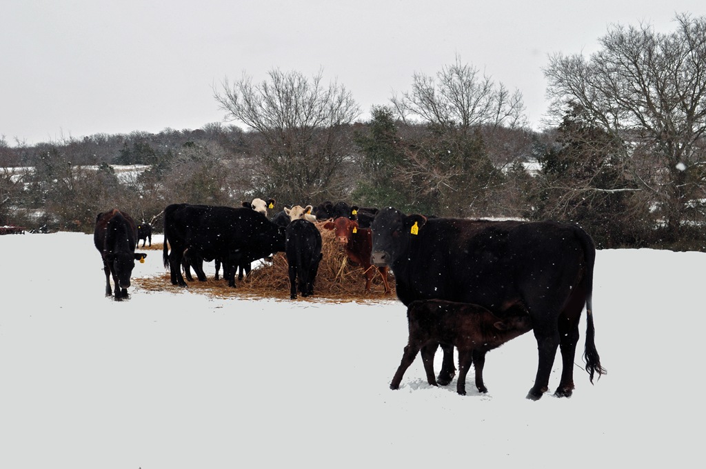 [DSC_0487[5].jpg]