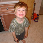 cheese