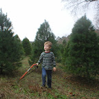 I'm a lumberjack and that's ok...