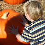 sisyphus meets linus in the pumpkin patch