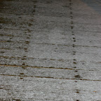 First Snow 08-Jan-2010