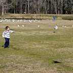Jonah chased seagulls at Lake Mayer. My land lubber kids had never seen such a thing.