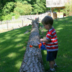 We'll cut it every 4 feet so we can carry off the sections.