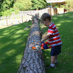 Start with your saw at an angle.