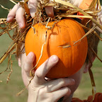 Linus Pumpkinhead