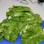 Garden fresh salad.