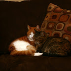 Old friends, sit on the brown couch like bookends.