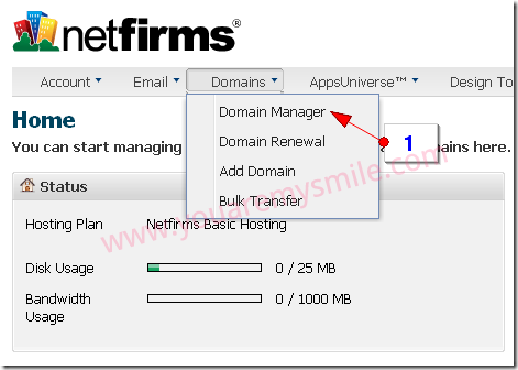 blogger-custom-domain-netfirms1
