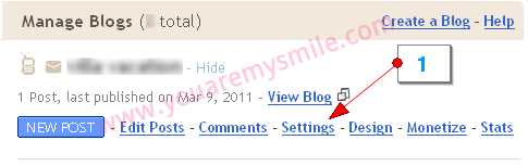 [blogger-custom-domain-cocc6[2].png]