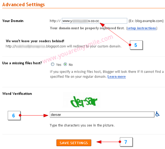 [blogger-custom-domain-cocc10[7].png]