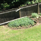 dscf5383.jpg