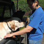 dscf5340.jpg