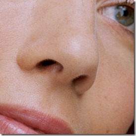 Hidung-cewek-(realsimple)-dalam Hidung-cewek-(realsimple)-dalam