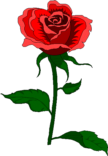 [flower[6].gif]