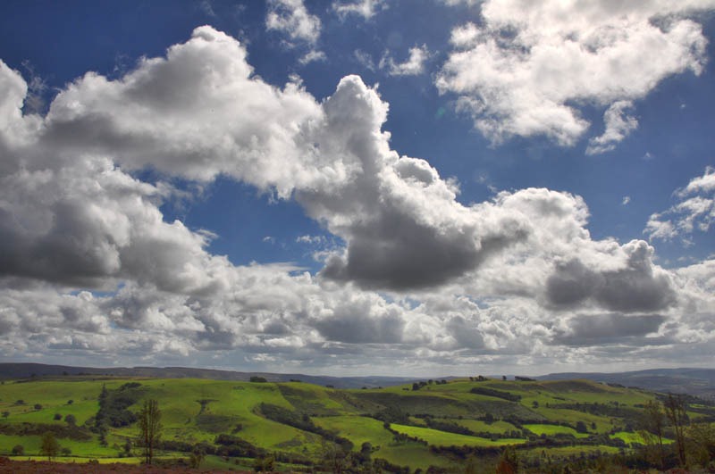 [DSC_6425_sm[3].jpg]