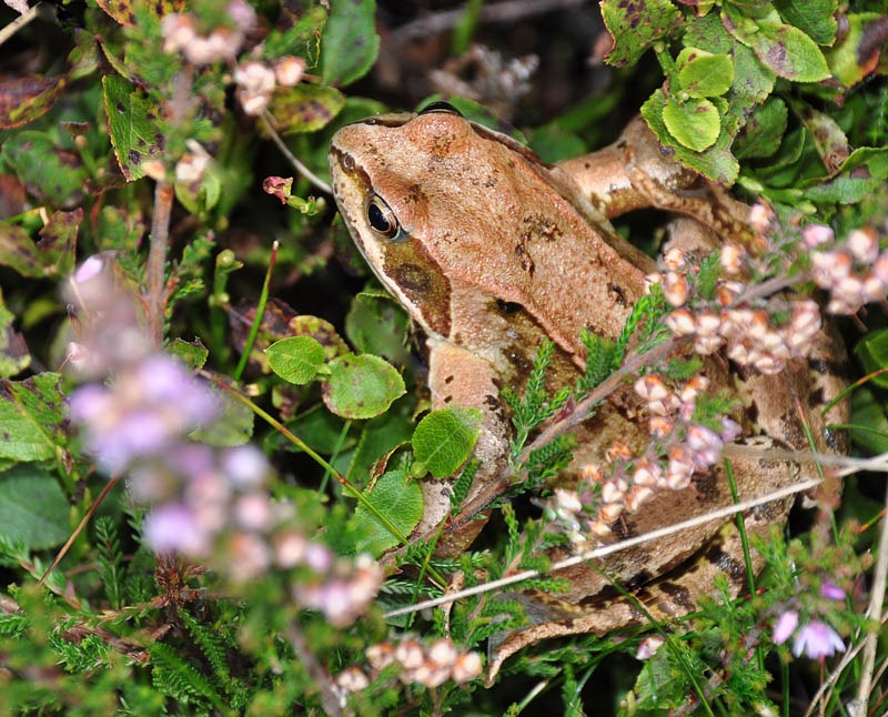 [DSC_6433_sm[3].jpg]